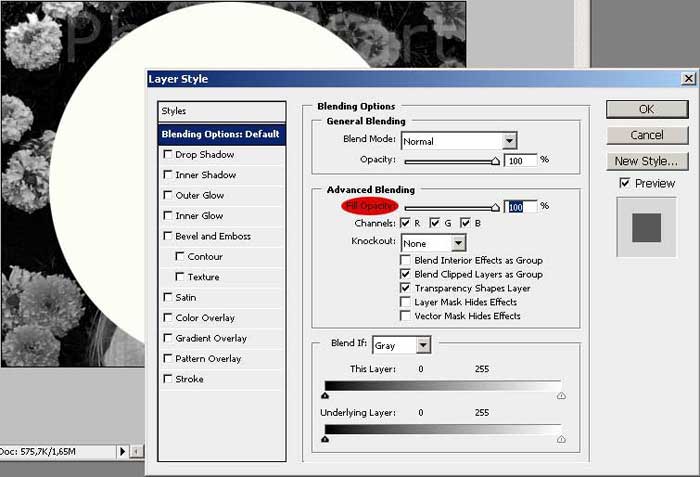 Blending Options